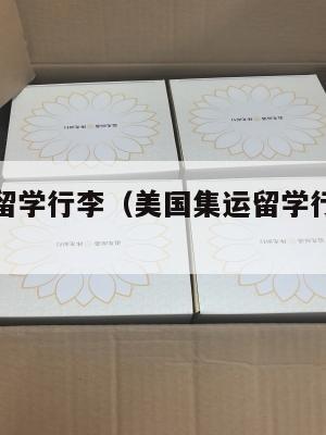 美国集运留学行李（美国集运留学行李托运规定）