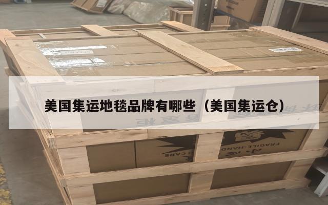 美国集运地毯品牌有哪些（美国集运仓）