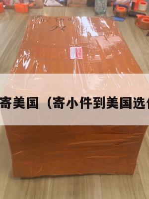 小件集运寄美国(寄小件到美国选什么快递)