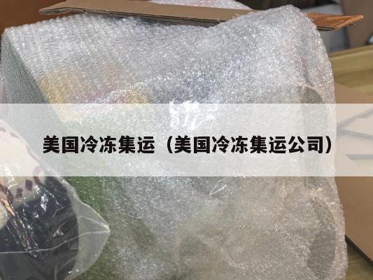 美国冷冻集运（美国冷冻集运公司）
