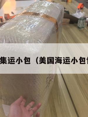 美国国际集运小包(美国海运小包快递查询)