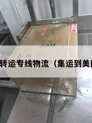 美国集运转运专线物流(集运到美国要多久)