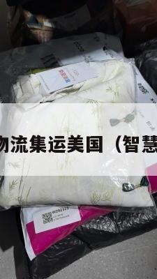 智慧国际物流集运美国(智慧物流公司)