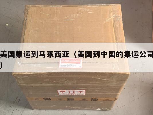 美国集运到马来西亚(美国到中国的集运公司)