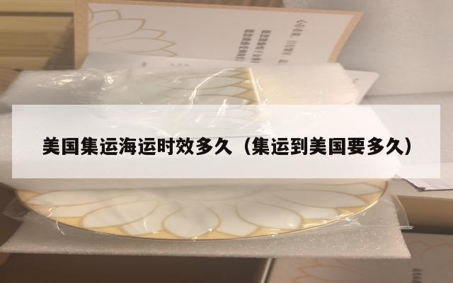 美国集运海运时效多久（集运到美国要多久）