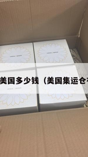 集运直邮美国多少钱（美国集运仓有假的吗）
