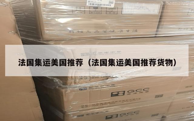法国集运美国推荐（法国集运美国推荐货物）