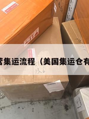 美国自营集运流程（美国集运仓有假的吗）
