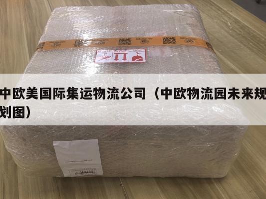 中欧美国际集运物流公司（中欧物流园未来规划图）