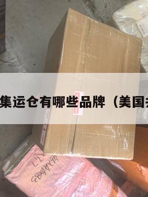 美国共享集运仓有哪些品牌（美国共享仓储）