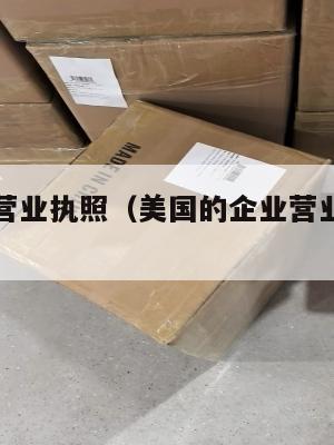 美国集运营业执照（美国的企业营业执照是公开的吗?）