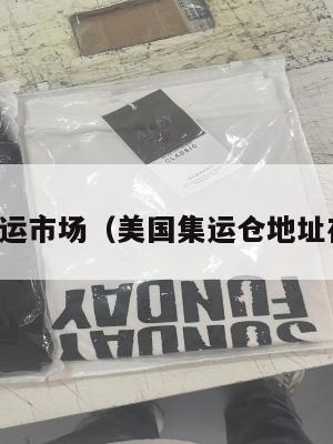 美国集运市场（美国集运仓地址在哪里）
