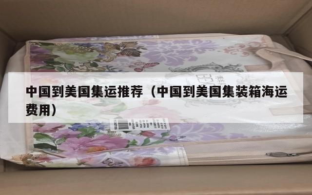 中国到美国集运推荐（中国到美国集装箱海运费用）