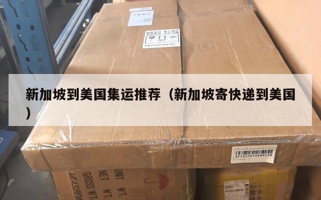 新加坡到美国集运推荐(新加坡寄快递到美国)