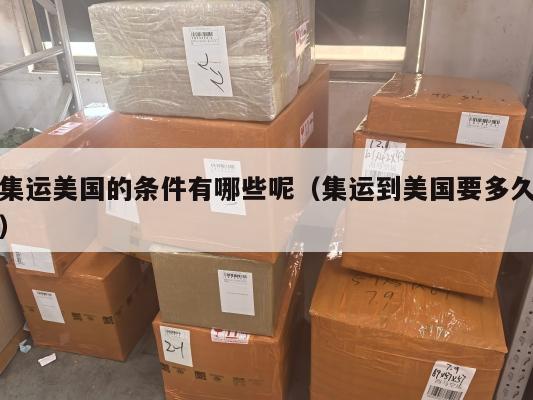 集运美国的条件有哪些呢（集运到美国要多久）