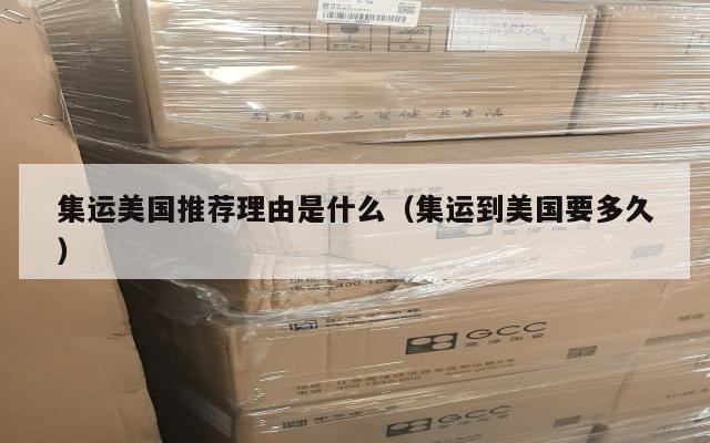 集运美国推荐理由是什么(集运到美国要多久)