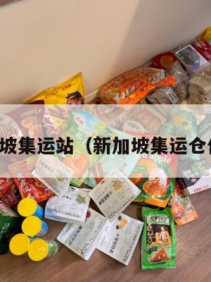 美国新加坡集运站(新加坡集运仓什么意思)