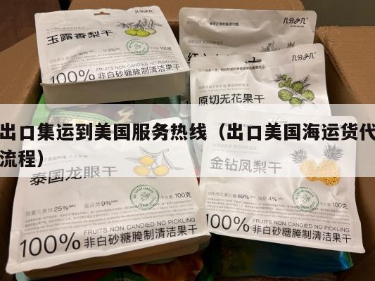 出口集运到美国服务热线(出口美国海运货代流程)