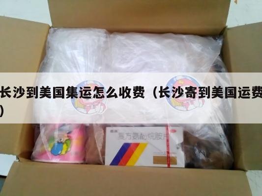 长沙到美国集运怎么收费(长沙寄到美国运费)