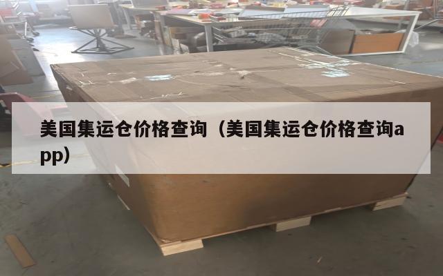 美国集运仓价格查询(美国集运仓价格查询app)