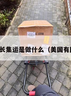 美国团长集运是做什么(美国有团长吗)