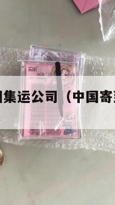 从中国寄美国集运公司（中国寄到美国转运公司）