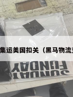 黑马集运美国扣关（黑马物流查询）