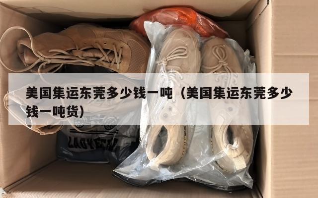 美国集运东莞多少钱一吨（美国集运东莞多少钱一吨货）