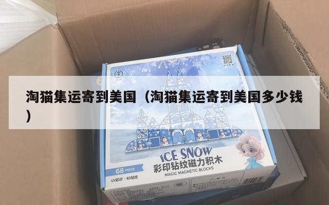 淘猫集运寄到美国（淘猫集运寄到美国多少钱）