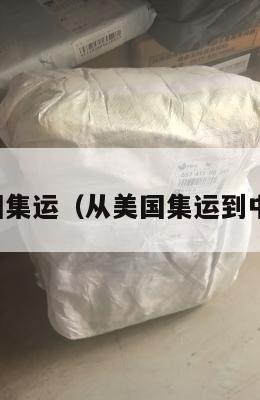国内发美国集运（从美国集运到中国多少钱）
