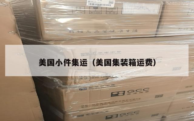 美国小件集运（美国集装箱运费）