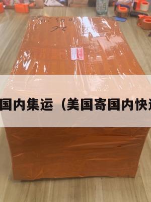 美国寄国内集运（美国寄国内快递公司）