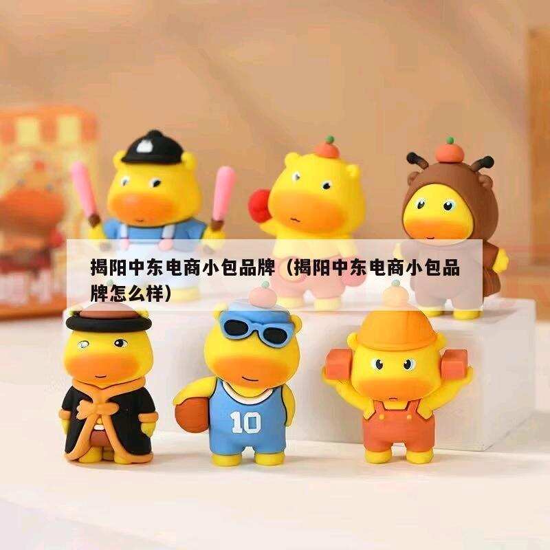 揭阳中东电商小包品牌(揭阳中东电商小包品牌怎么样)