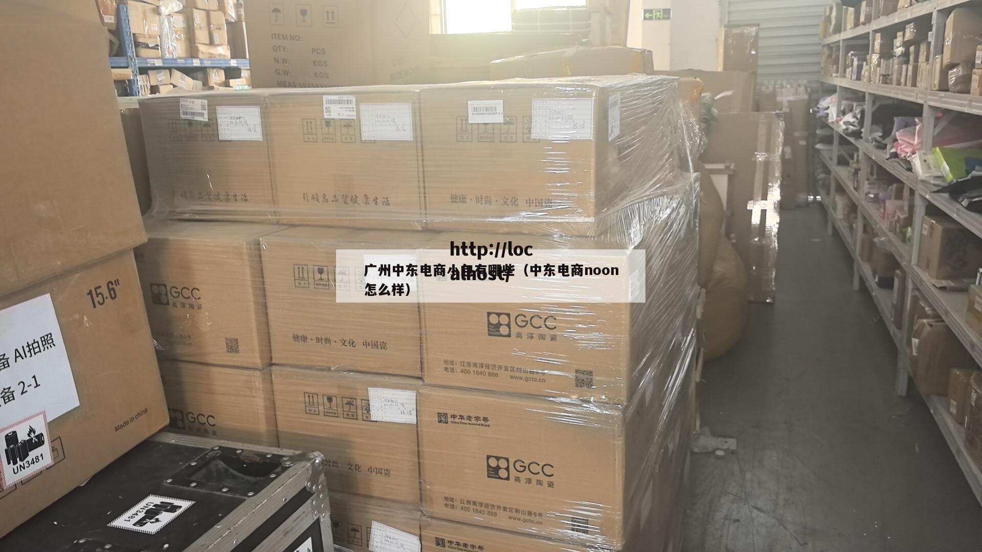 广州中东电商小包有哪些(中东电商noon怎么样)