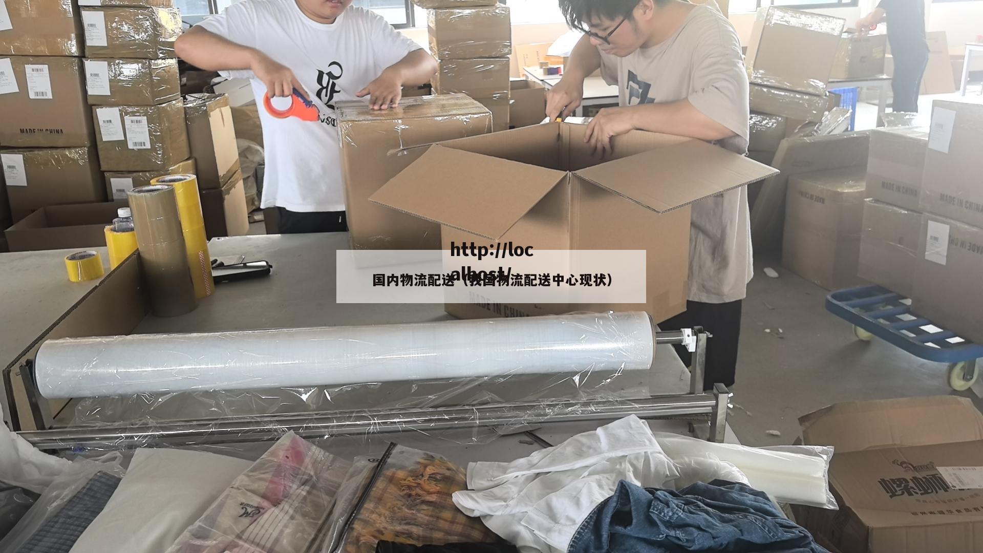国内物流配送（我国物流配送中心现状）