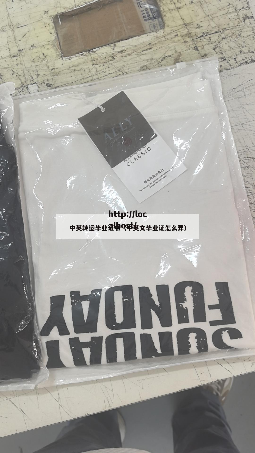 中英转运毕业证书（中英文毕业证怎么弄）