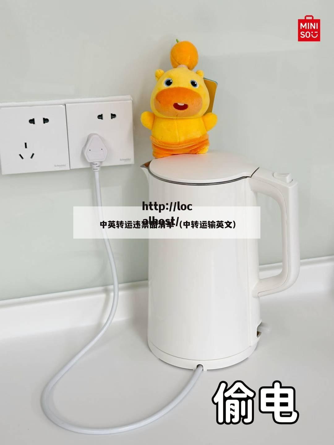 中英转运违禁品清单（中转运输英文）