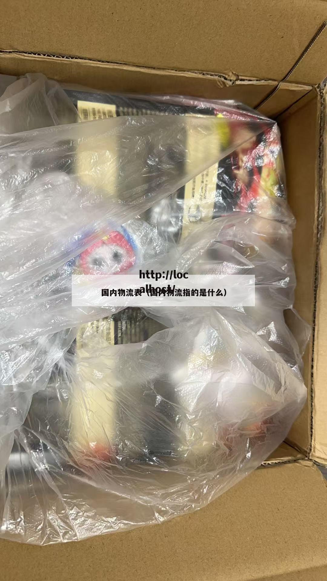 国内物流表（国内物流指的是什么）