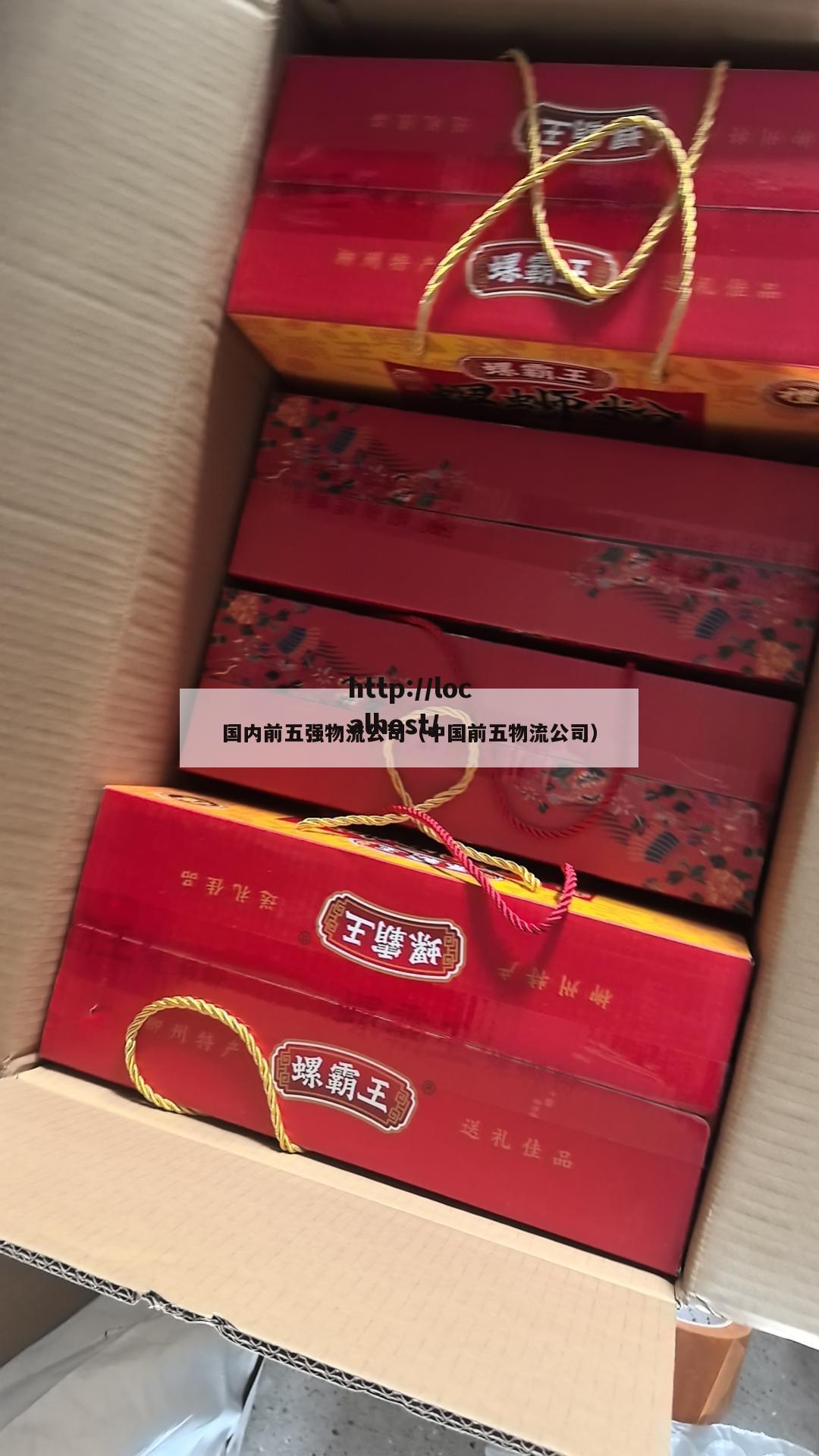 国内前五强物流公司（中国前五物流公司）