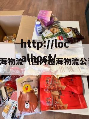 国内越海物流（国内越海物流公司排名）