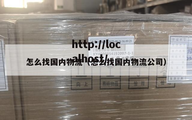 怎么找国内物流（怎么找国内物流公司）