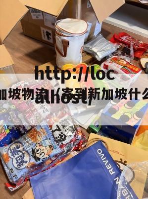 国内到新加坡物流(寄到新加坡什么物流最便宜)