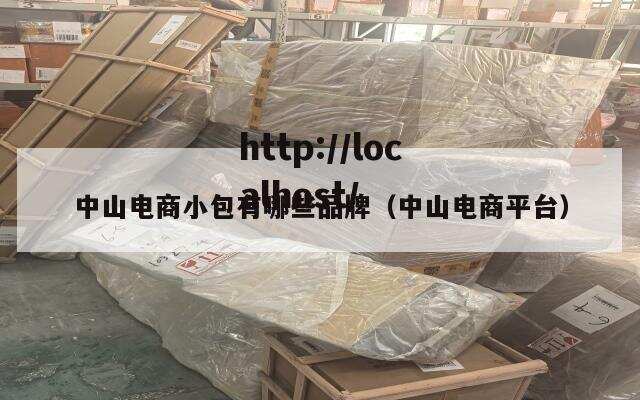中山电商小包有哪些品牌(中山电商平台)